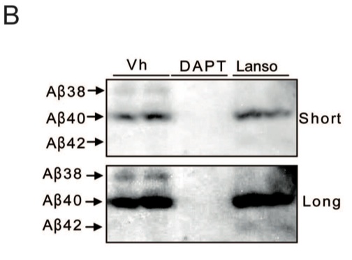 Figure 2.B